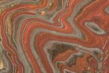 Polished Tiger Iron Stromatolite Slab - Billion Years #221834-1